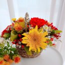 오산초등학교병설유치원 이미지