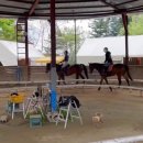 운악호스랜드 이미지