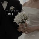 취향 | [wedding] ep16. 본식 부케 &#39;오흐니&#39; 후기 (취향 찾기, 아가판서스 + 네리네)