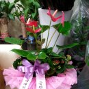 미래연합비뇨기과의원 이미지