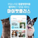 마이펫 동물병원 이미지