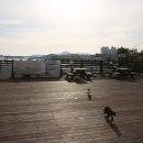 서호전통시장 이미지