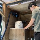 개꿀하우스 이미지