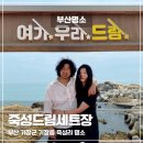 죽성에 머물다 | 죽성드림세트장 기장 카페 투어 후 들러보기 좋은 명소