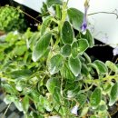 동일농약사 이미지