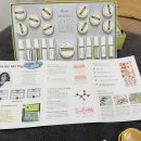 5858 | [대구 다사 피부관리] 다사 피부관리 추천, 리프팅 효과 장 에스떼 M2 펩타이드 관리 후기