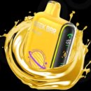 펄스전자 이미지