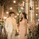 헤세드 이미지