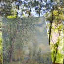 여름빌라 이미지