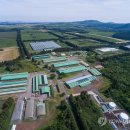 제동농장 이미지