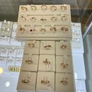 용현동금은방 송도보석상점 주얼리&amp;금거래소 물고기반지 후기