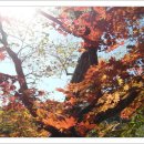 노고단-2 이미지