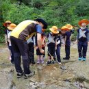 두미르어린이집 이미지