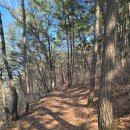 76 | 서해랑길 76코스 서산구간 후기