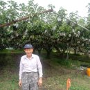 삼부농장 이미지