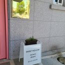 스윗멜로우(SWEET MELLOW)