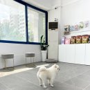 멍뭉이발소 이미지