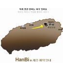 미도파수입 이미지
