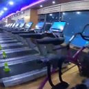 휘트니스 아시아 이미지