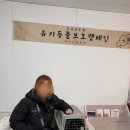 매력쟁이 | 순하고 매력쟁이 '블루' 입양후기 💕