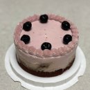 마곡중앙5로 | [마곡 케이크 파이 맛집] 마곡나루 '엘리케이커' 기념일 레터링케이크 예약 및 솔직 후기(갸또 후기)