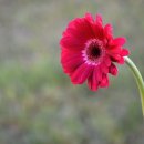 동남행정사무소 이미지