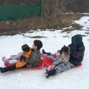 산으로간니모 이미지