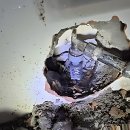 출동 과학수사대 | 양천구 누수 발생 시 24시간 긴급출동하는 확실한 해결책