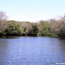 송천목장 이미지