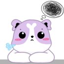 코보아쿠아 이미지