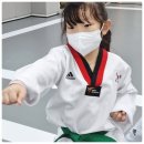 지성 태권도장 이미지