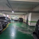 효자약손 | 전문적인 통증관리하는 사하구마사지,대한효자약손마사지