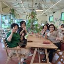 판문동8 이미지