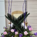 미영축사 네이버블로그