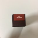 모더레이트(MODERATE)