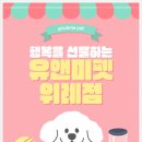 유앤미펫 강아지분양 고양이분양 위례점 이미지