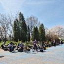 드림푸드 | [후기] 인천 드림파크 벚꽃길 산책 다녀왔어요! (주차·푸드트럭·친환경 다회용기)