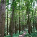 화인정비 이미지