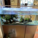 변산중학교 이미지