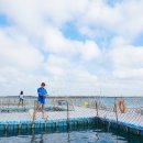 성광목장 이미지