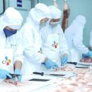 제일피드 이미지