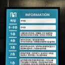 동탄팀영어학원