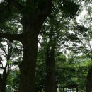 뽕이랑 귀농이랑 이미지