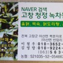 고창청정녹차농원 이미지