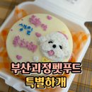 특별하개 이미지