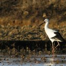 국립낙동강생물자원관 이미지