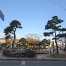 산청동물의료센터 이미지