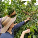 마르코농장 이미지