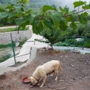 풍산농장 이미지