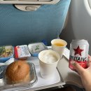 디알오토 | 250808~250817_✈︎발리여행 #1✈︎